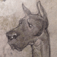 sketch-7
